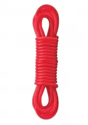 БДСМ и фетиш