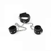 Кляпы, ошейники металл