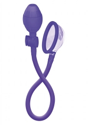 Вакуумные помпы пурпурный