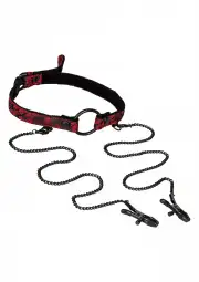 Кляпы, ошейники california exotic novelties