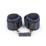 Бдсм и фетиш голубой