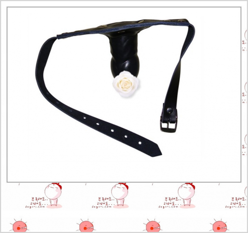 Кляп с фаллоимитатором photo 1