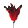 Щекоталка красная Art of Sex - Feather Paddle, перо молодого петуха photo 2