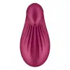 Вибратор Satisfyer Dipping Delight Berry photo 5