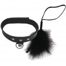 Набор игровой S&M SEX KITTEN KIT photo 1