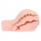 Мастурбатор-попка Kokos Oknyeo 2WayPlus с вибрацией и массажем, два входа: вагина и попка photo 2