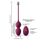 Вагинальные шарики Dorcel LOVE BALLS PLUM, вибрации и движения внутреннего шарика, пульт ДУ photo 5