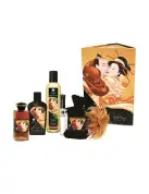 Подарочный набор Shunga Sweet Kisses Kit photo 1